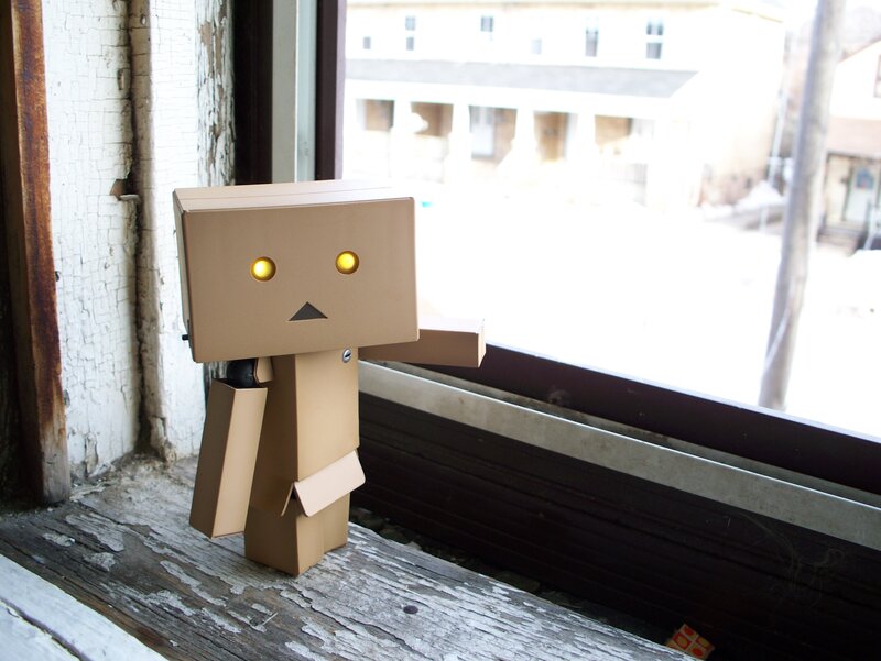 Danbo stands by the window