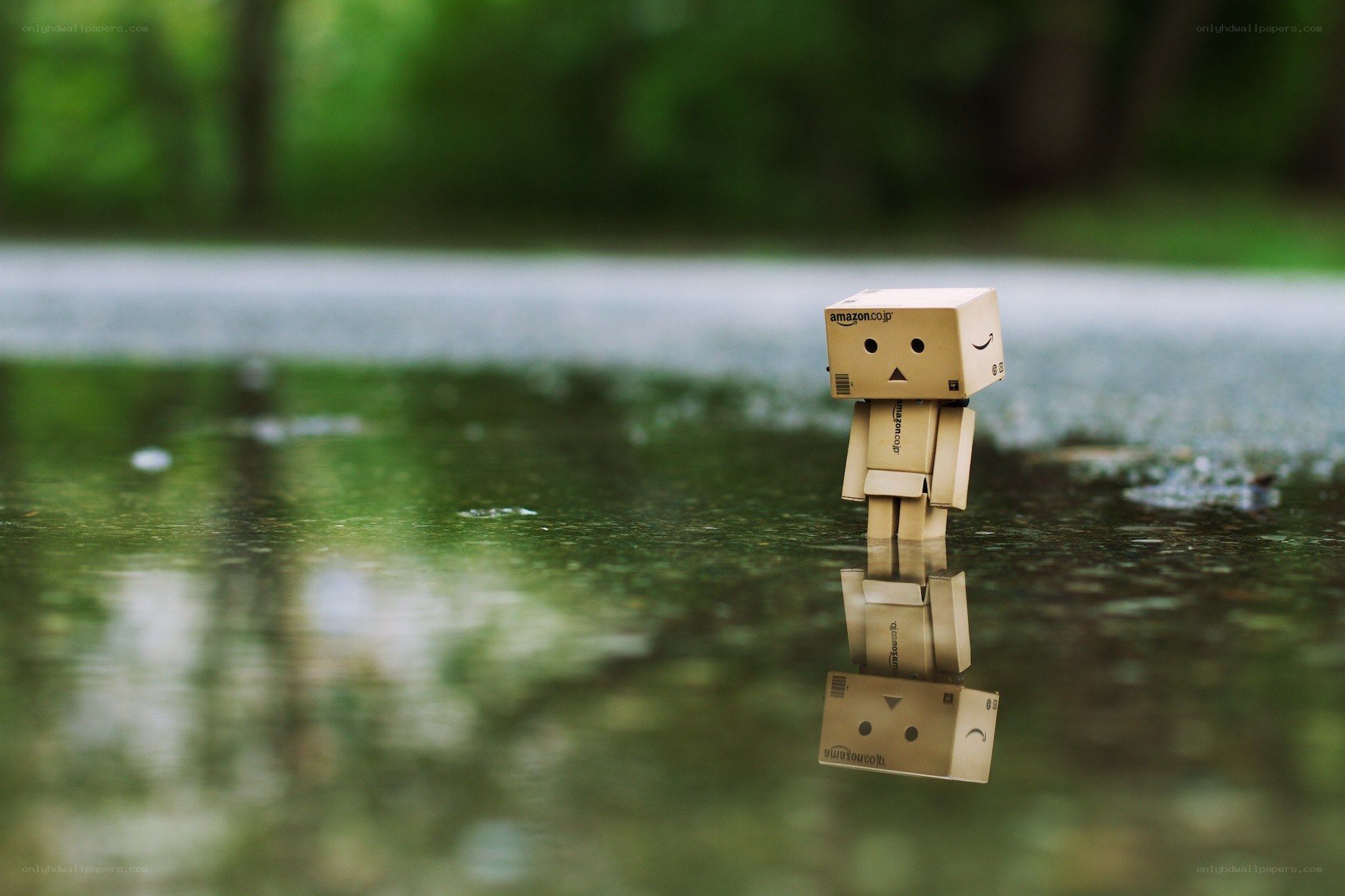 Danbo stands in a puddle