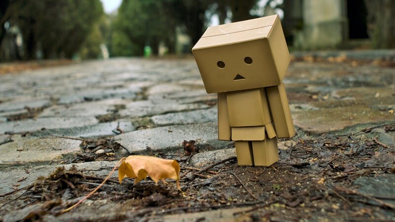Danbo stands on a path