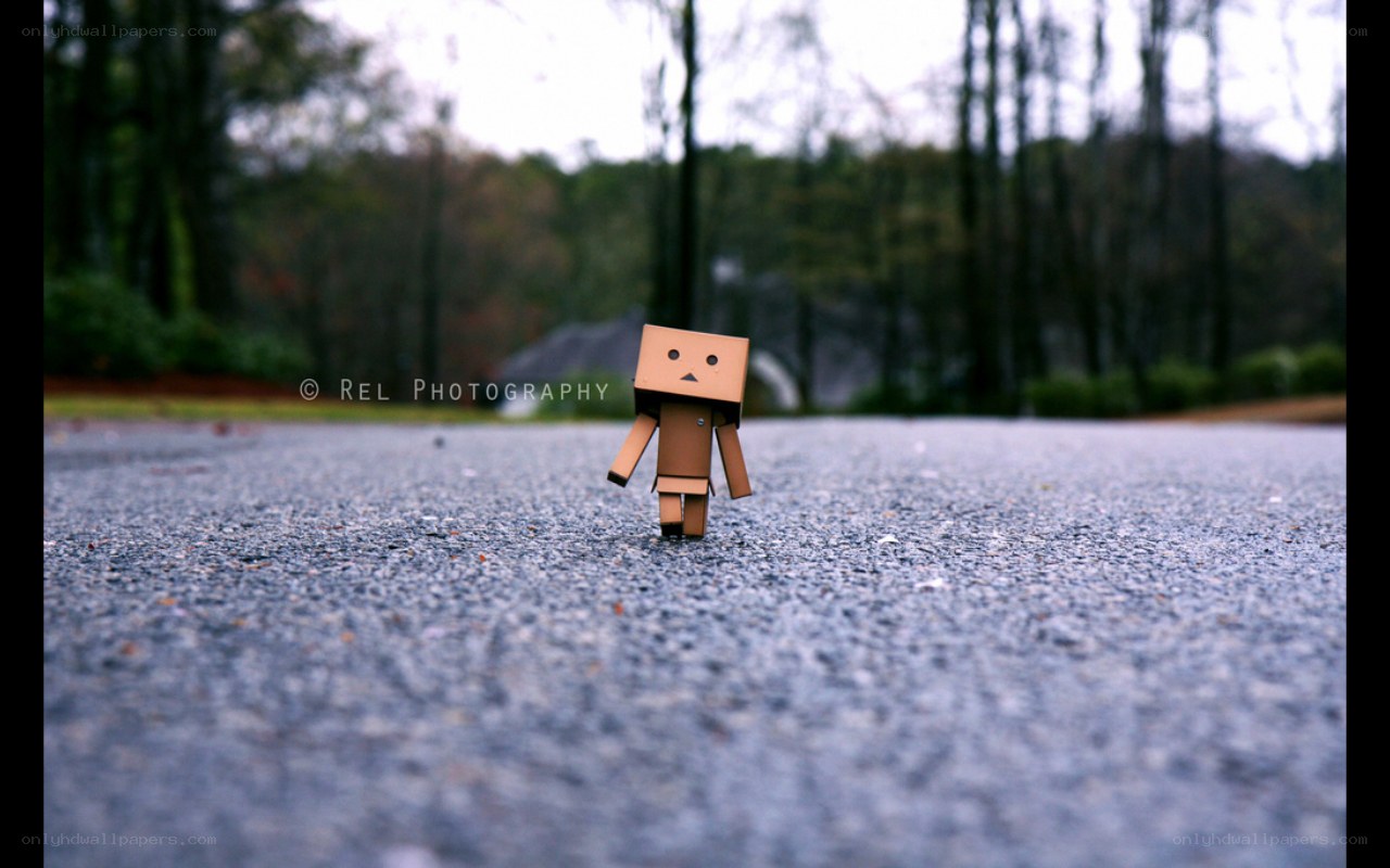 Danbo walking on pavement