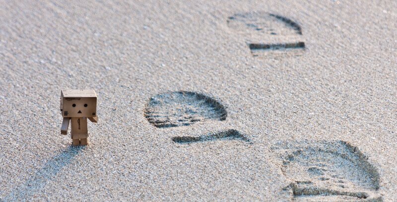 Danbo walking on sand