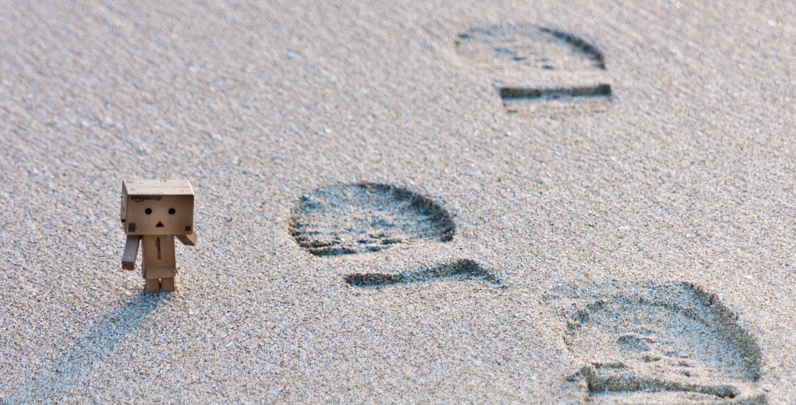 Danbo walking on sand