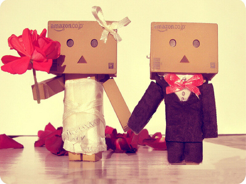 Danbo wedding couple
