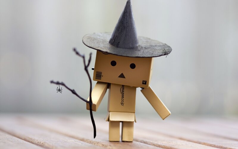 Danbo witch costume