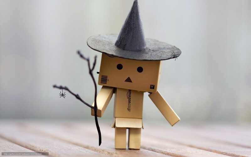 Danbo witch costume