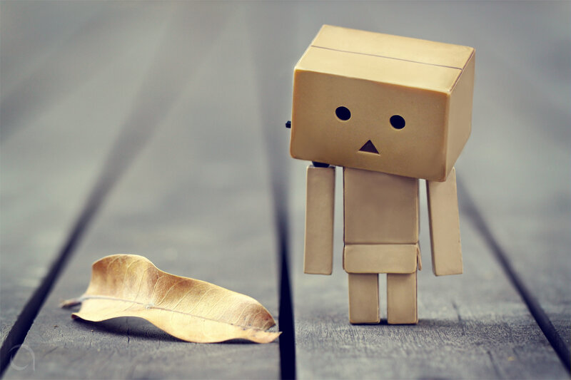 Danbo with a fallen leaf