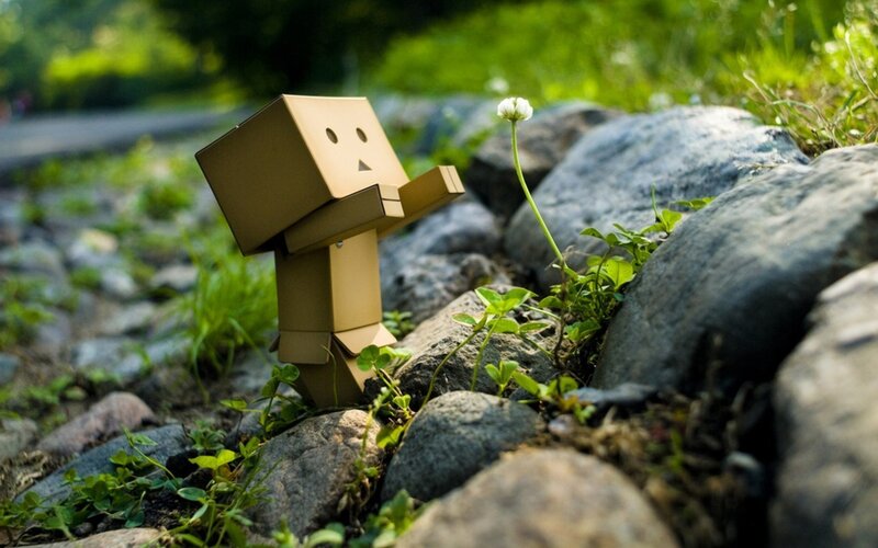 Danbo with a flower