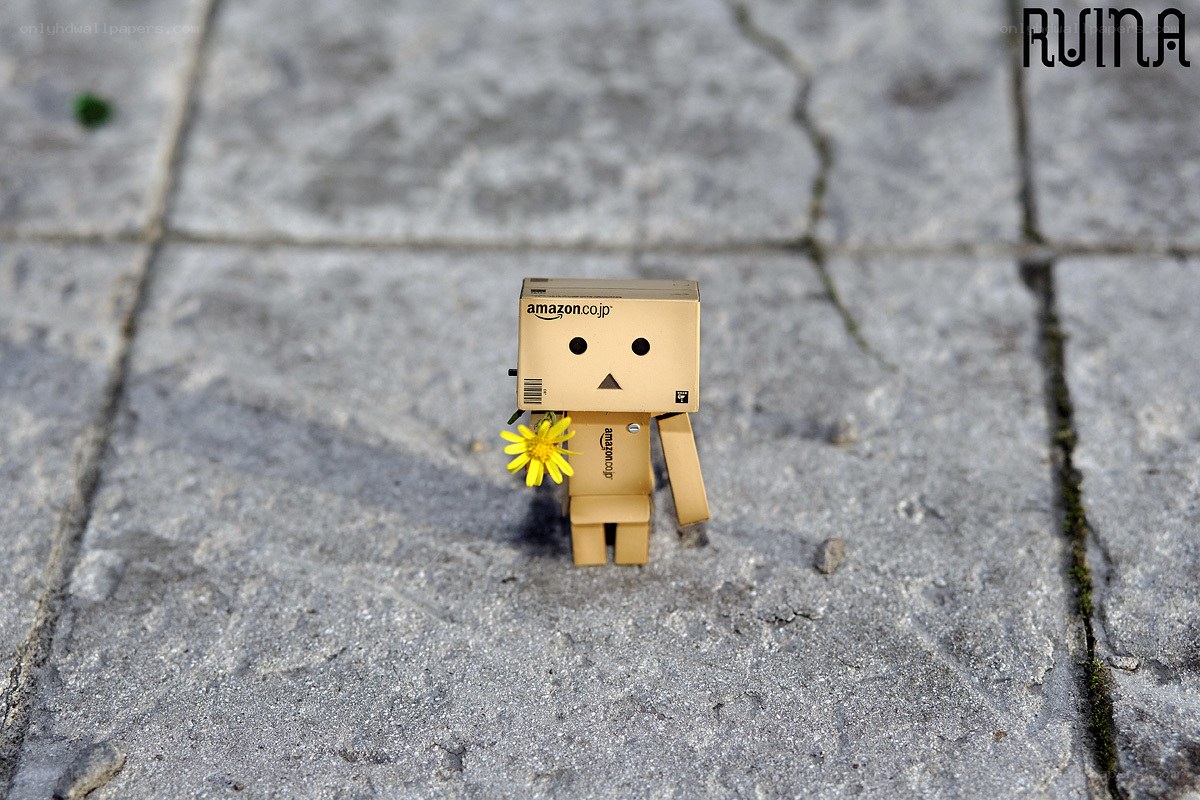 Danbo with a flower
