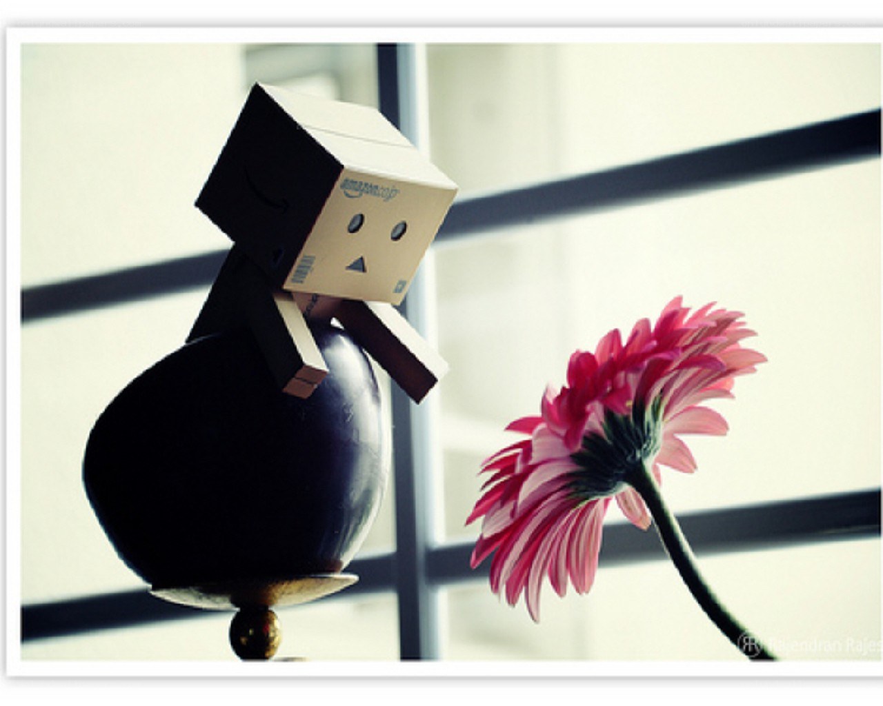 Danbo with a flower