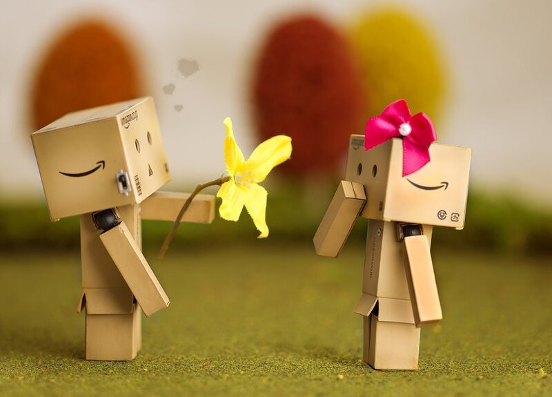 Danbo with a flower