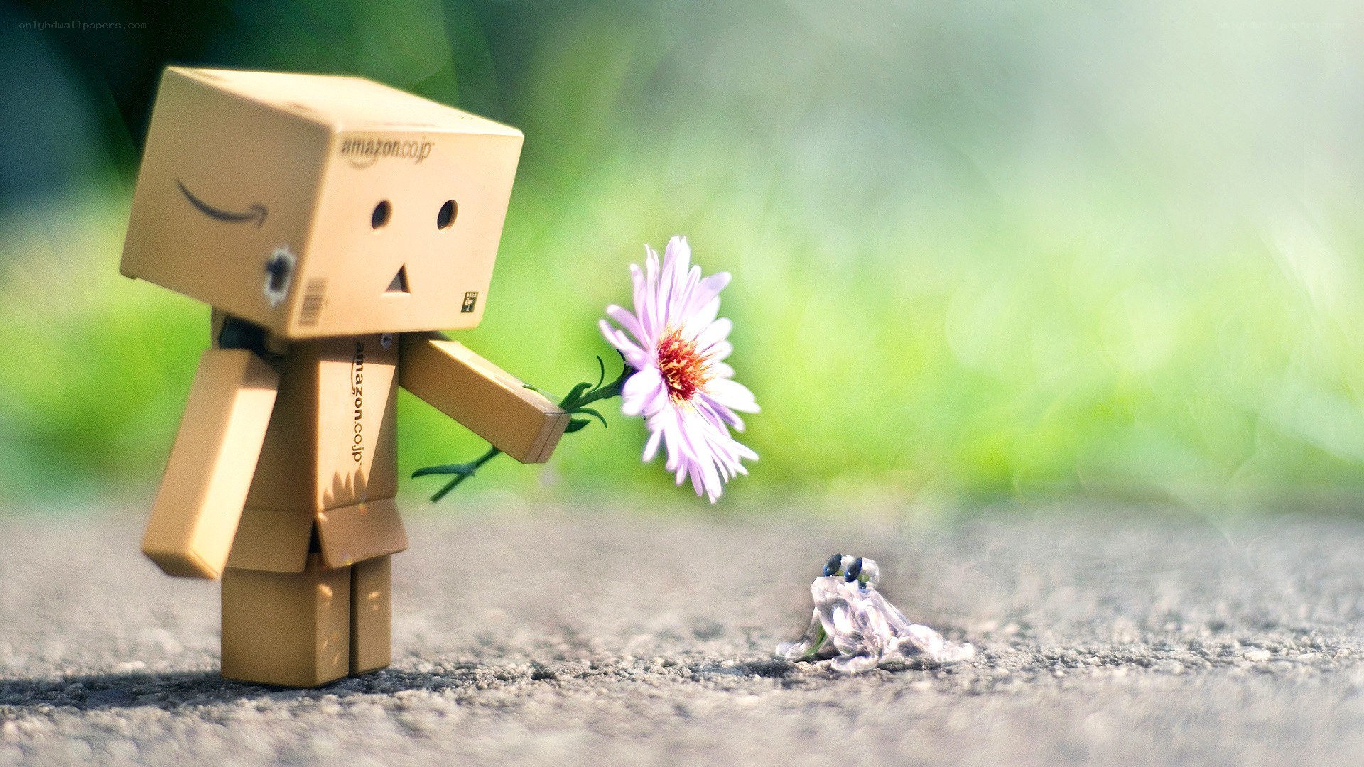 Danbo with a flower