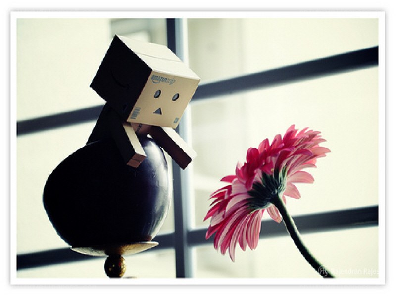 Danbo with a flower