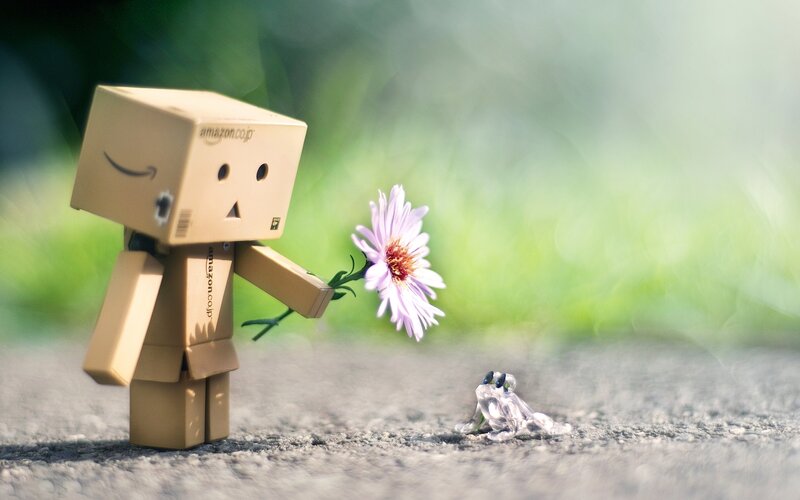 Danbo with a flower