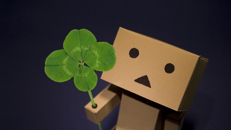 Danbo with a four-leaf clover