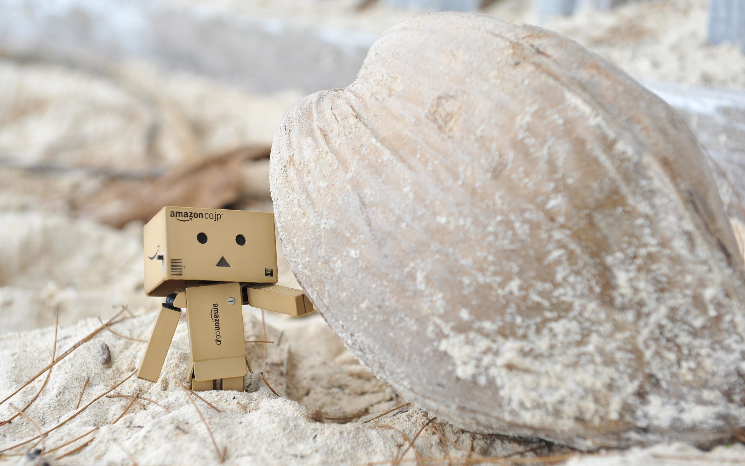 Danbo with a large shell