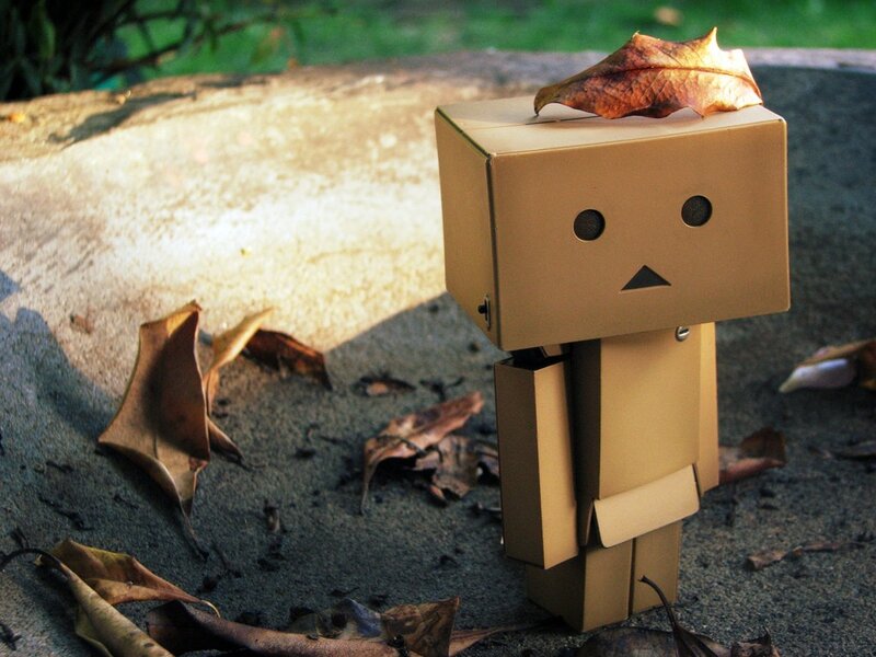 Danbo with a leaf on head