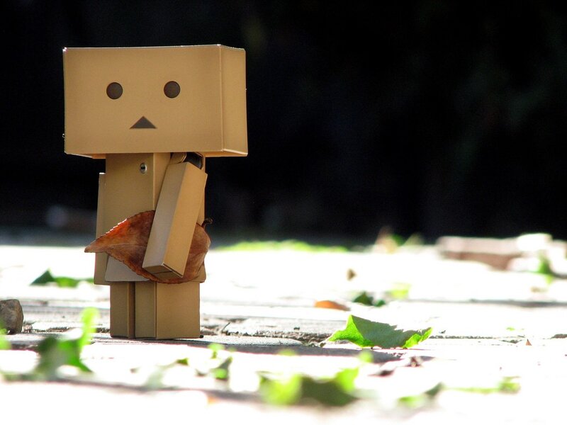 Danbo with a leaf