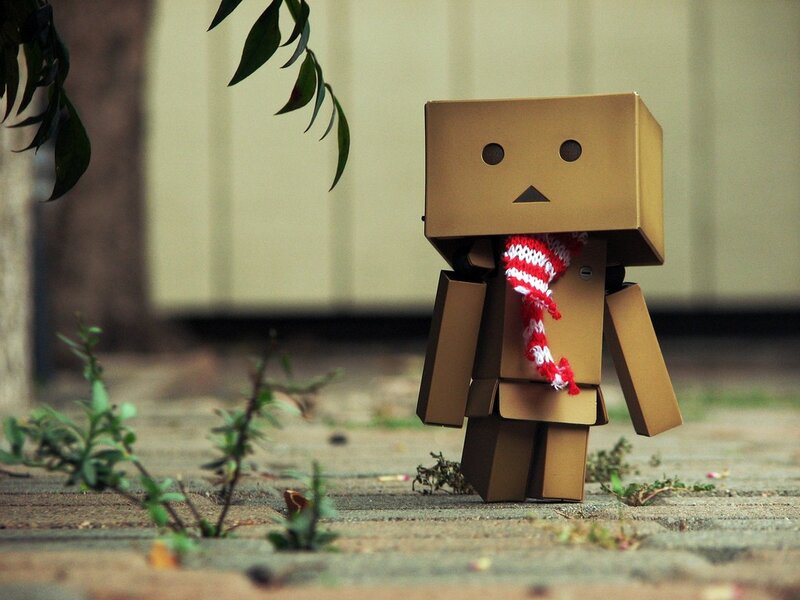 Danbo with a scarf