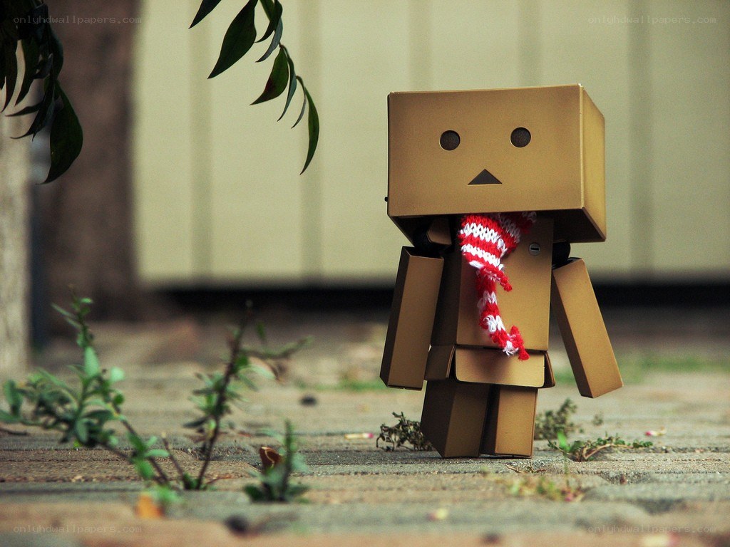 Danbo with a scarf