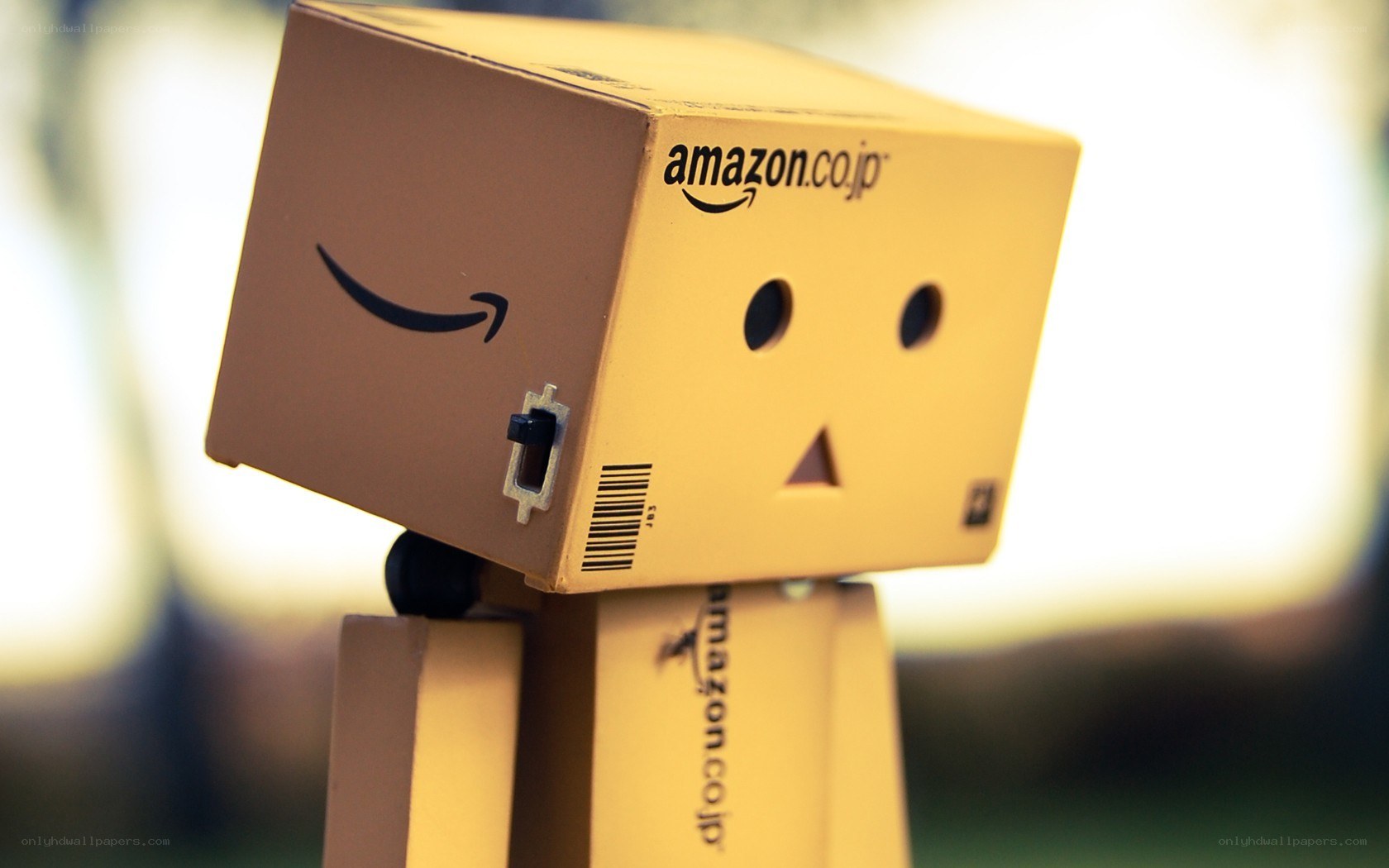 Danbo with Amazon box