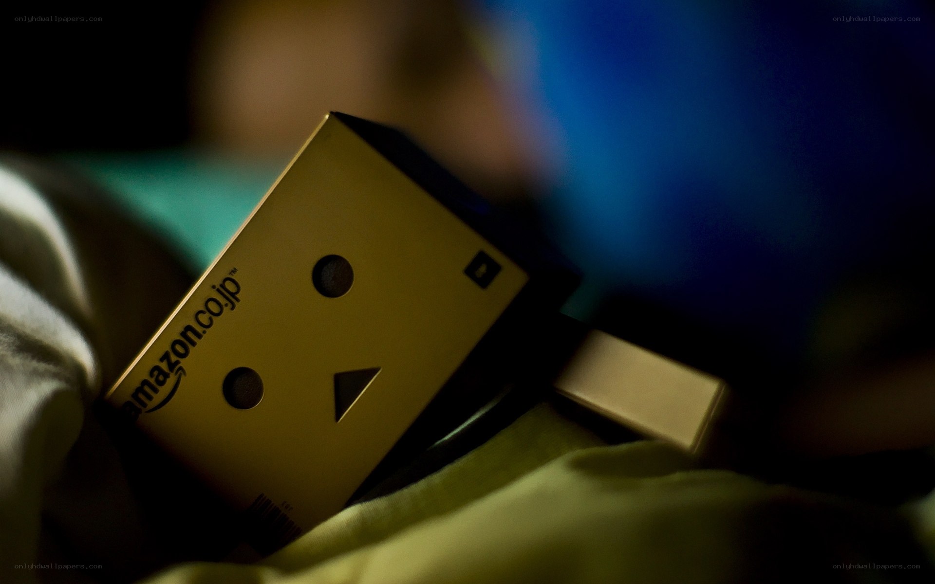 Danbo with Amazon box