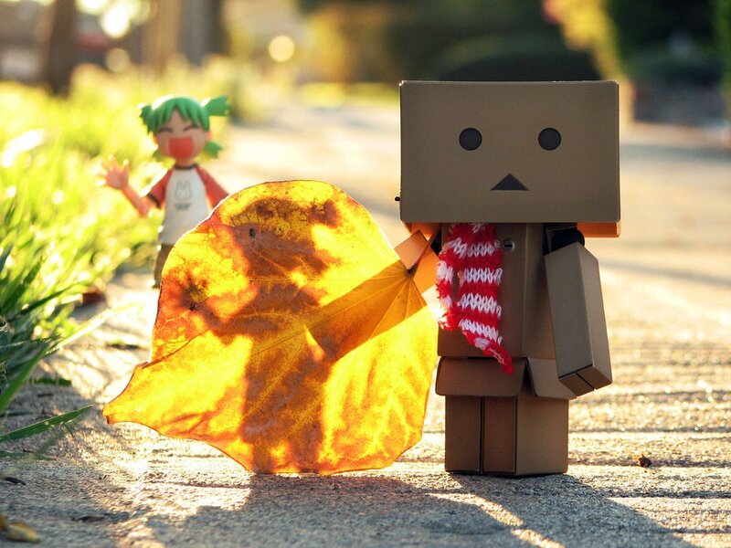 Danbo with autumn leaf