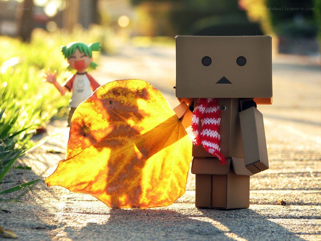 Danbo with autumn leaf
