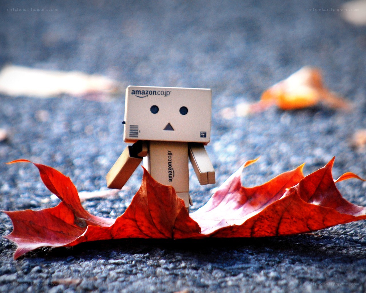 Danbo with autumn leaves