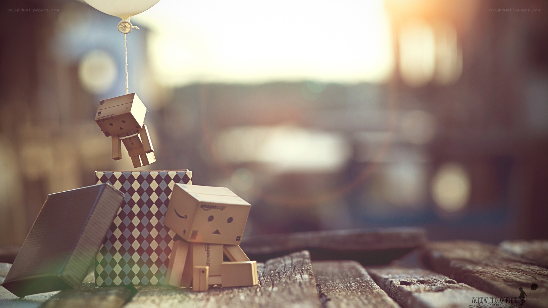 Danbo with balloon on wood