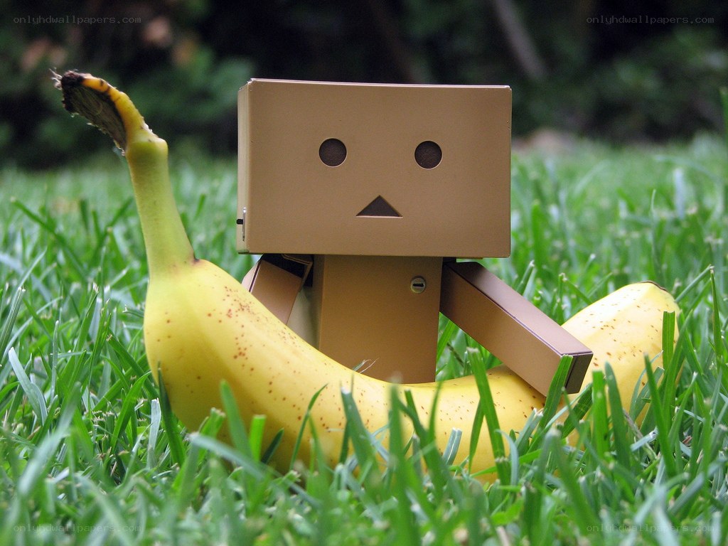 Danbo with banana in grass