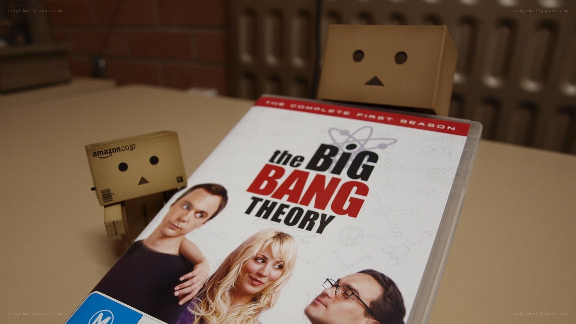 Danbo with Big Bang Theory DVD
