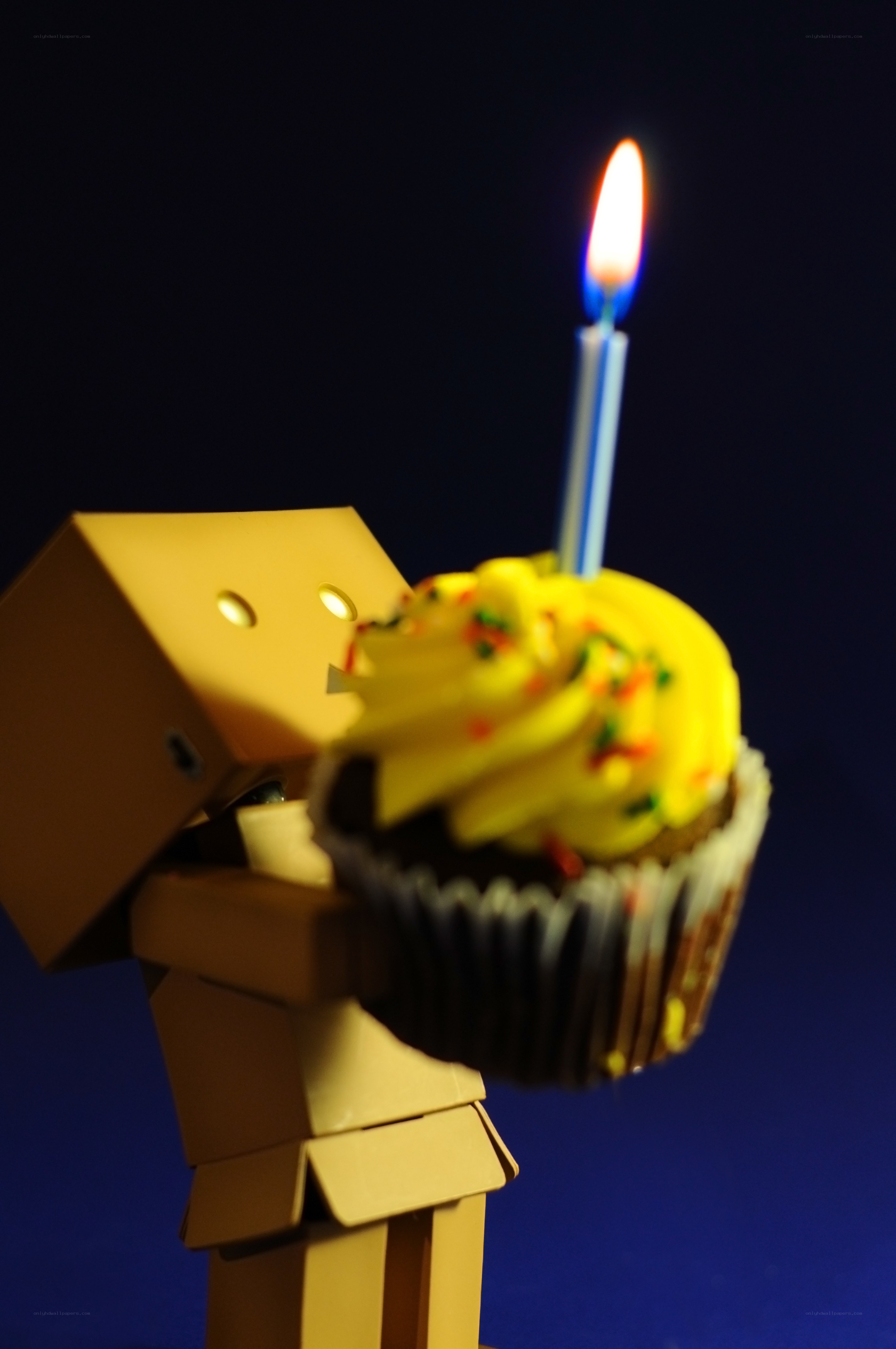 Danbo with birthday cupcake
