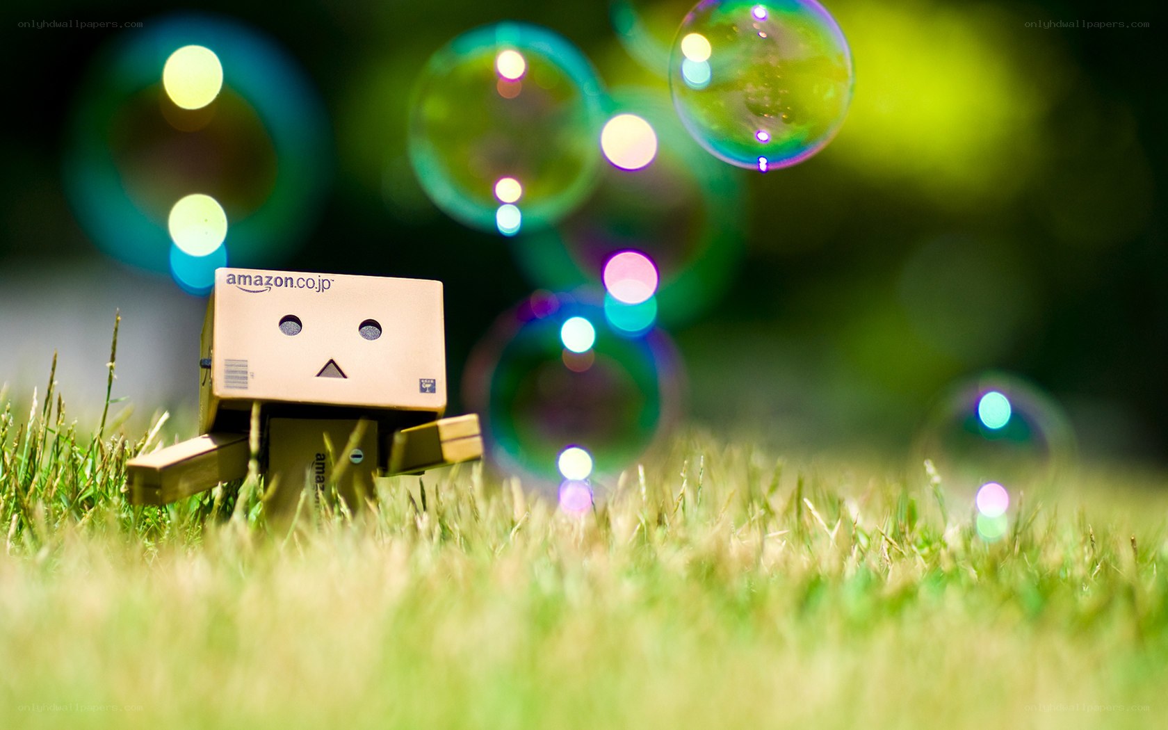 Danbo with bubbles in grass