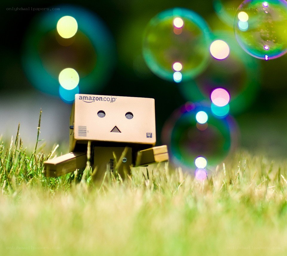 Danbo with bubbles in grass