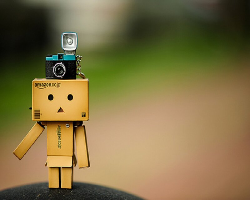 Danbo with camera