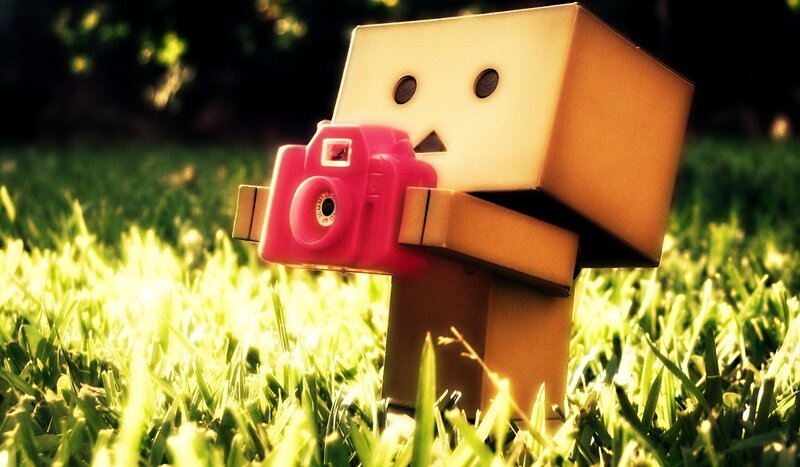 Danbo with Camera — Green