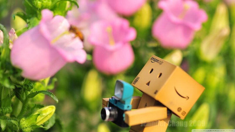 Danbo with camera in flowers