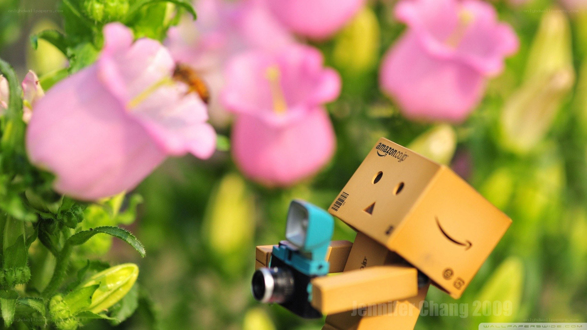 Danbo with camera in flowers
