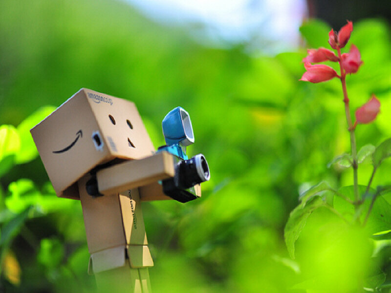 Danbo with camera in garden