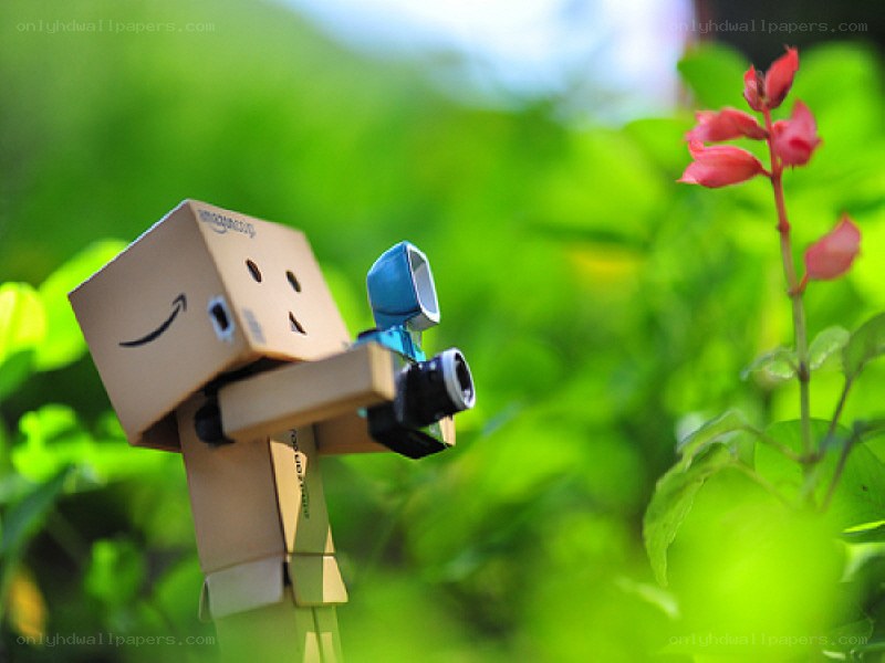 Danbo with camera in garden