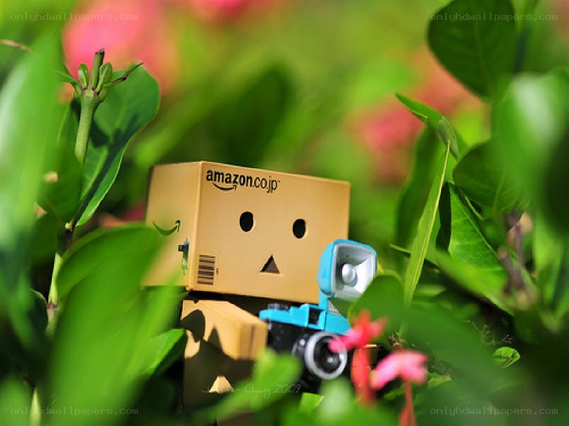 Danbo with camera in garden