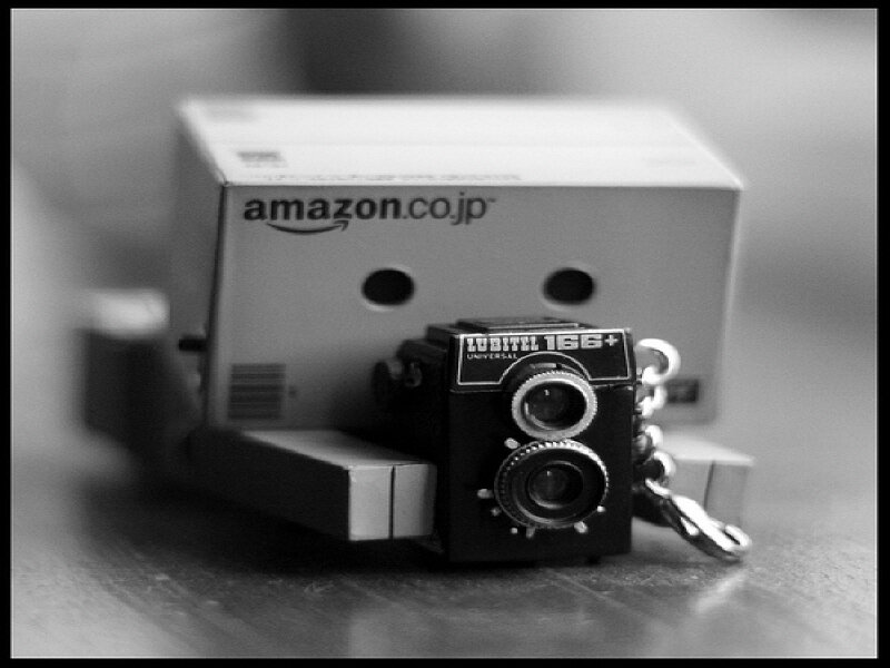 Danbo with camera keychain