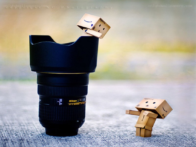 Danbo with camera lens
