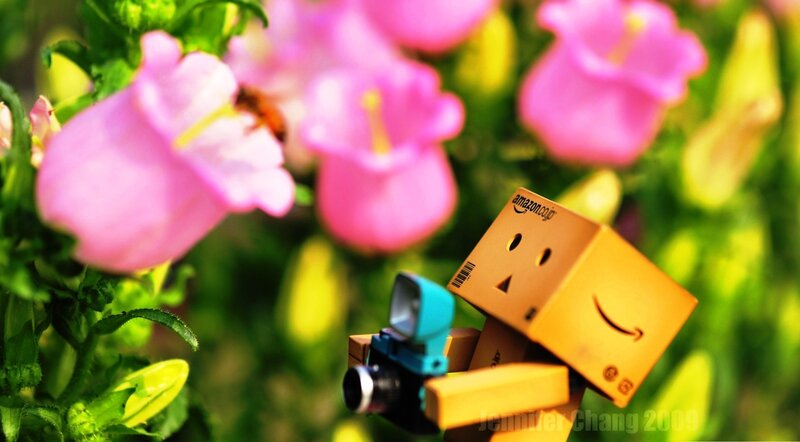 Danbo with Camera — Pink