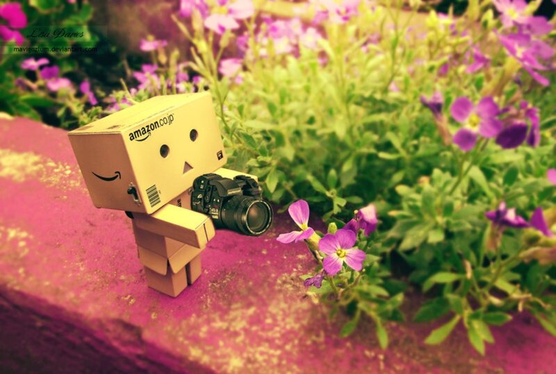 Danbo with Camera — Purple