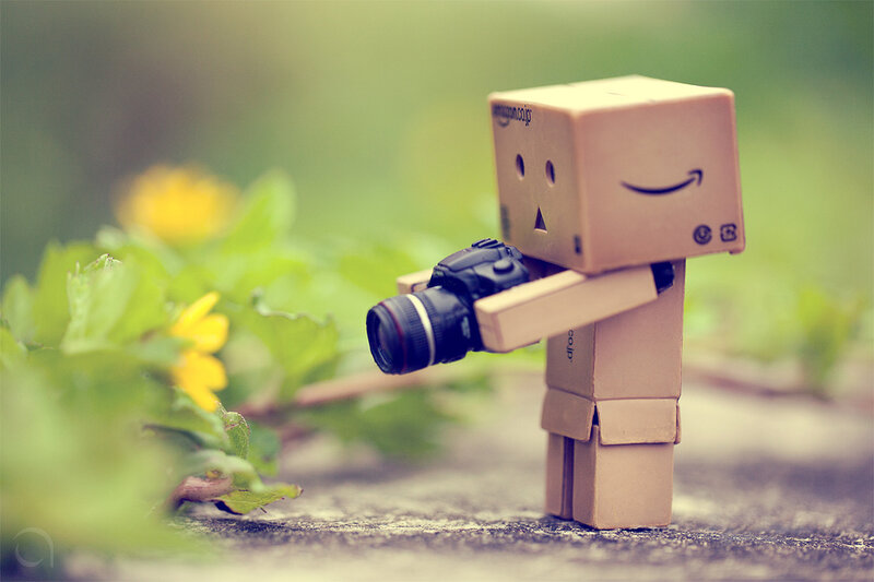 Danbo with camera
