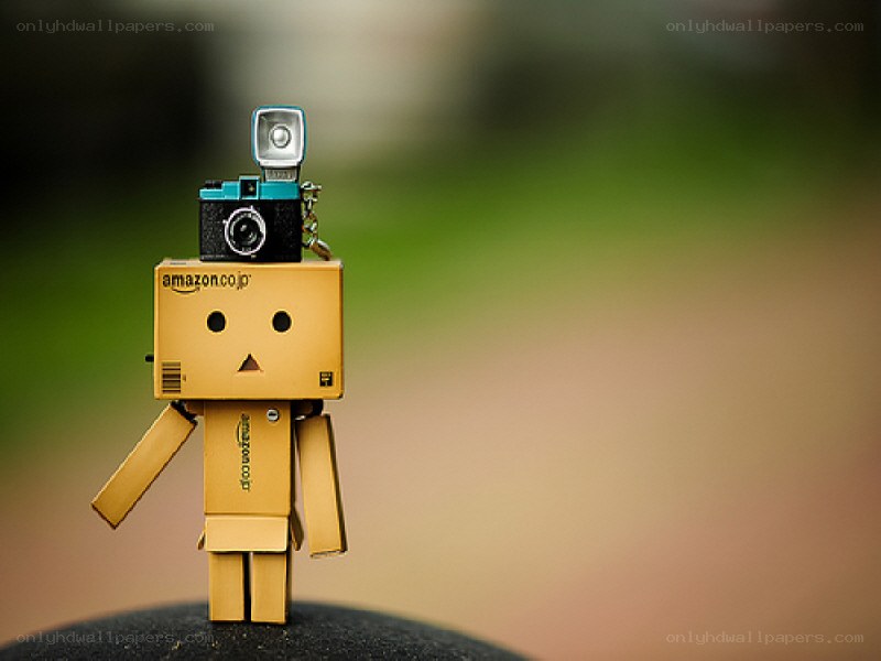 Danbo with camera toy