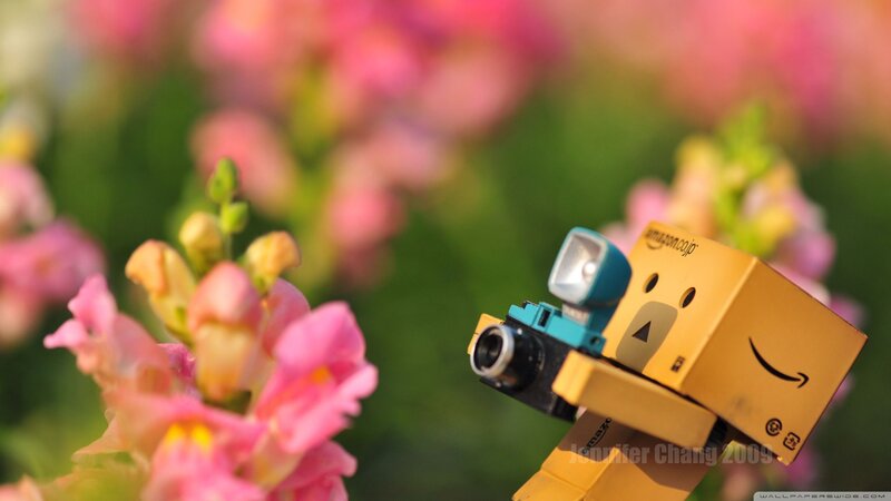 Danbo with Camera — Yellow
