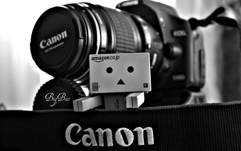 Danbo with Canon camera