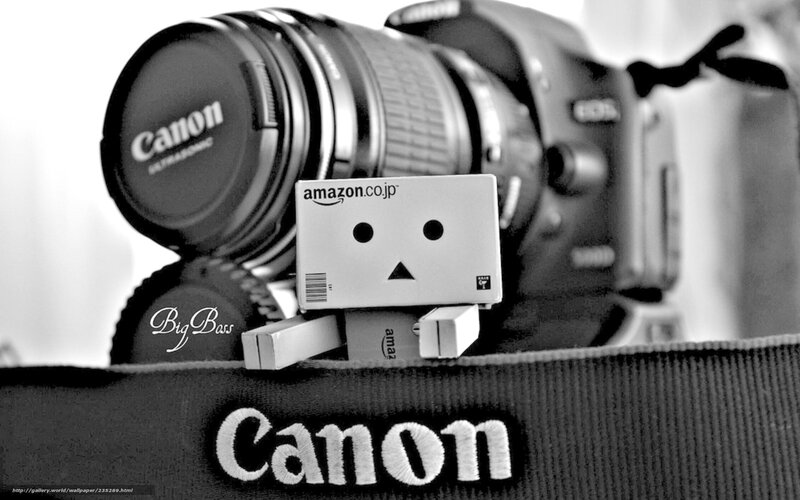 Danbo with Canon camera